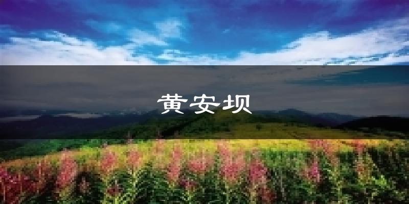 黄安坝天气预报十五天