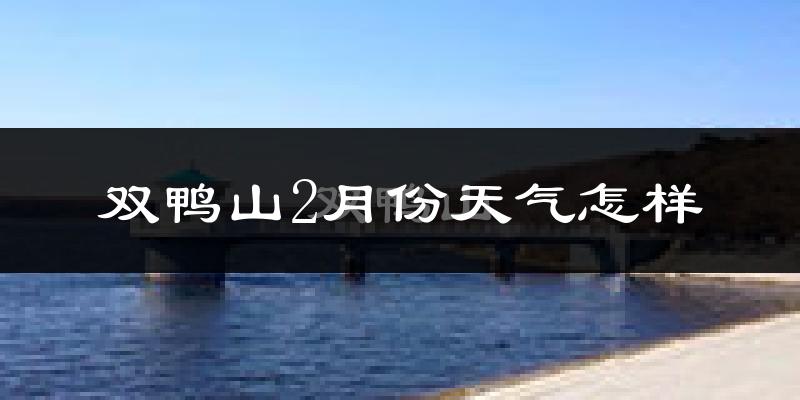 双鸭山市2月份天气如何?很冷吗?