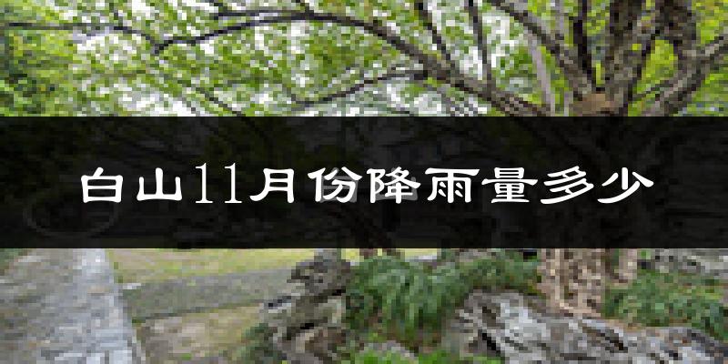 白山11月份降雨量多少?白山十一月下雨多吗?