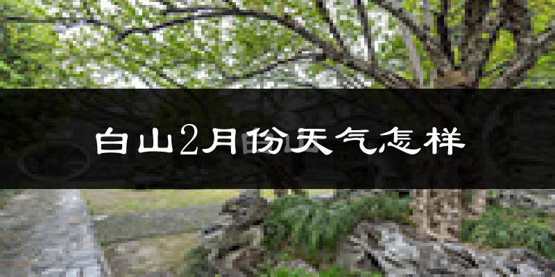白山市2月份天气如何?很冷吗?