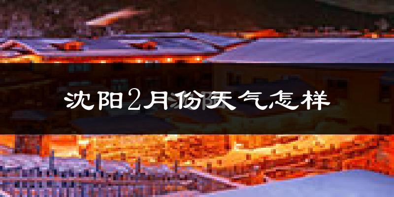 沈阳2月份天气如何?很冷吗?