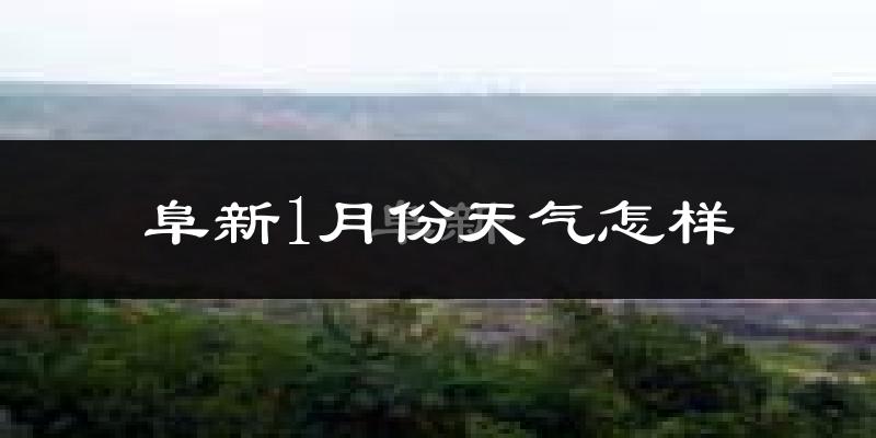 阜新市1月份天气如何?很冷吗?