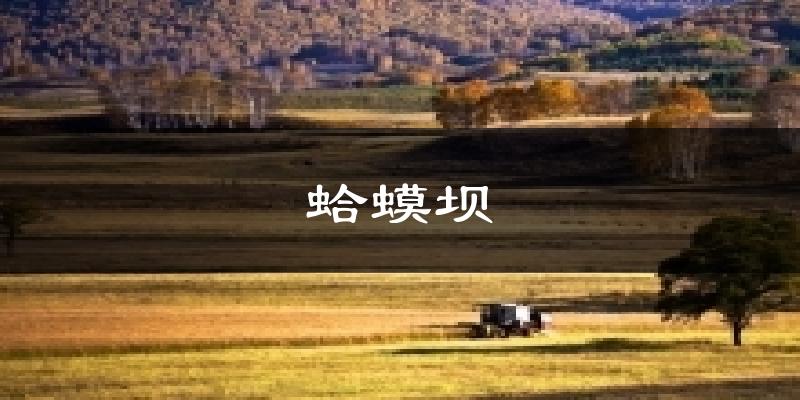 蛤蟆坝天气预报十五天