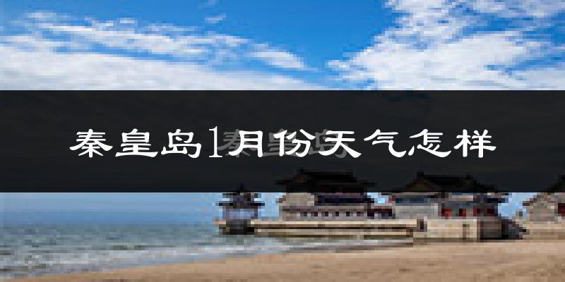 秦皇岛市1月份天气如何?很冷吗?