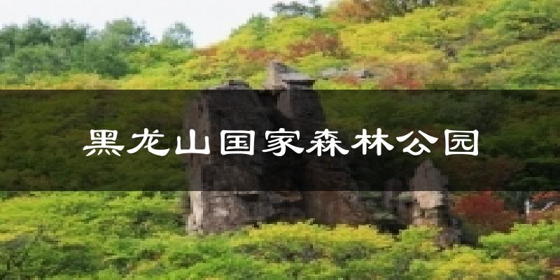 黑龙山国家森林公园天气预报十五天