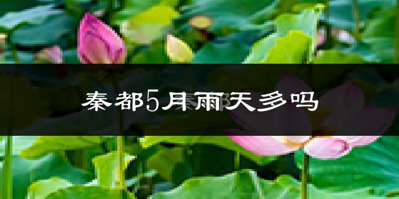 秦都5月雨天多吗?