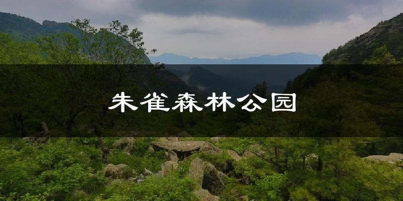 朱雀森林公园天气预报十五天