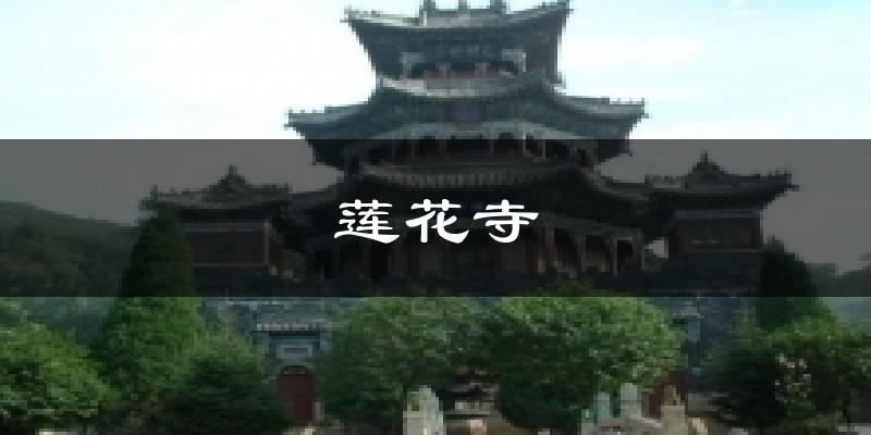 莲花寺天气预报十五天