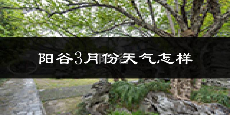 阳谷县3月份天气如何?冷热情况怎么样?