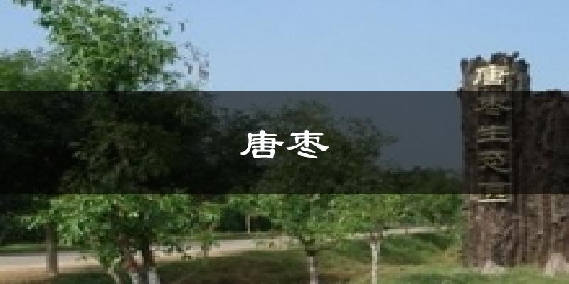 唐枣天气预报十五天