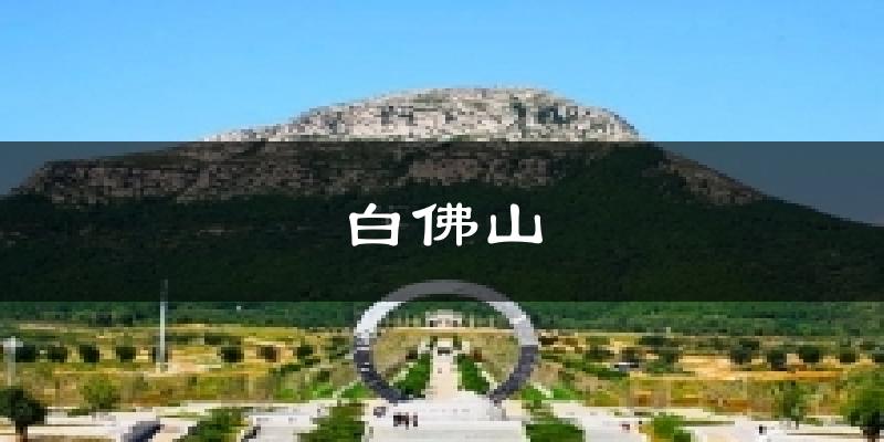 白佛山天气预报十五天