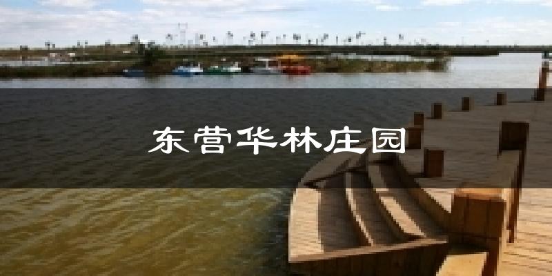 东营华林庄园天气预报十五天