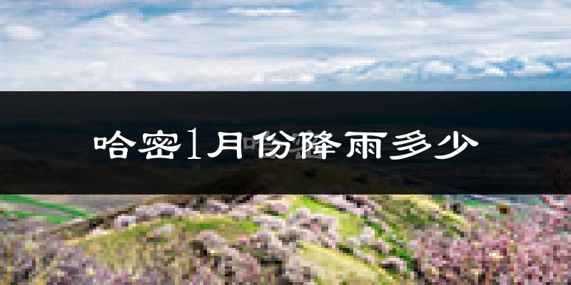 哈密1月份降雨多少?