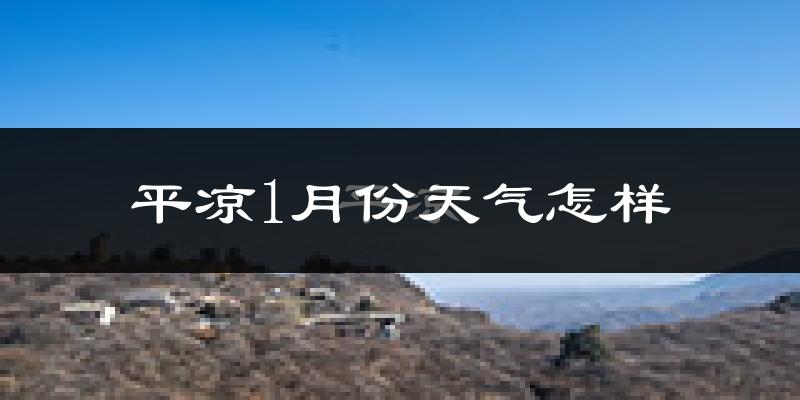 平凉市1月份天气如何?很冷吗?