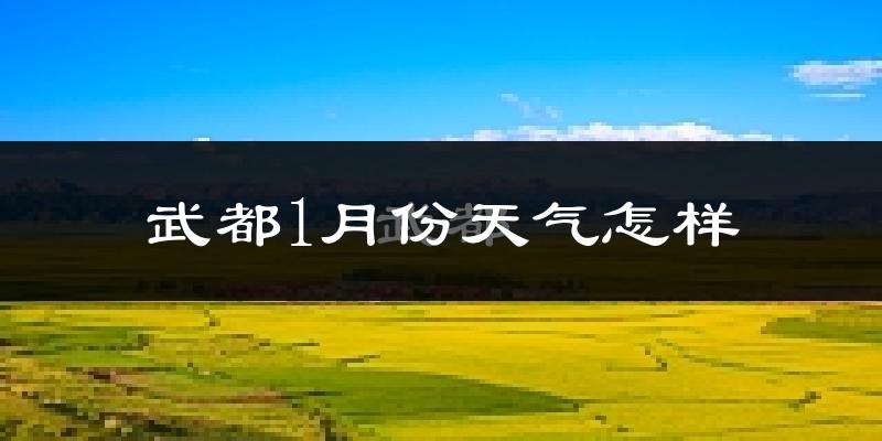 武都1月份天气怎样?武都一月冷吗?