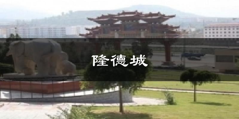 隆德城天气预报十五天