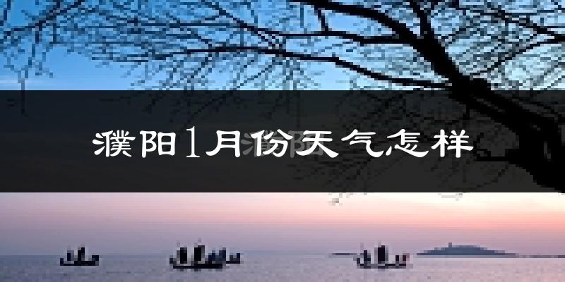 濮阳市1月份天气如何?很冷吗?