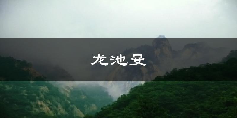 龙池曼天气预报十五天
