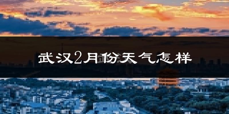 武汉2月份天气如何?很冷吗?