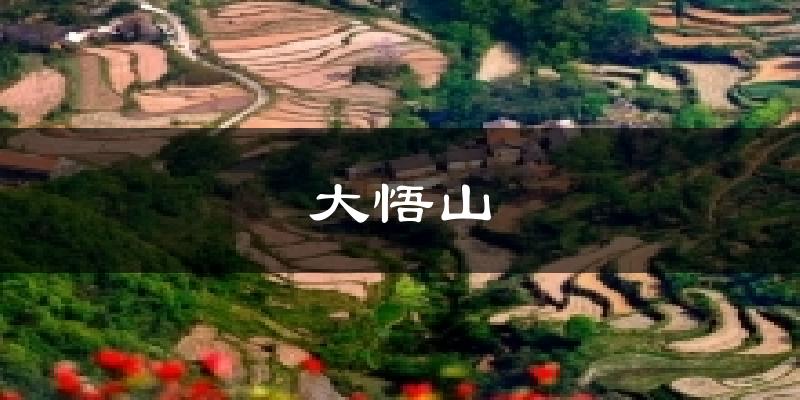 大悟山天气预报十五天