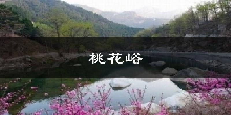桃花峪天气预报十五天