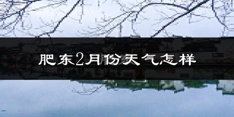 肥东2月份天气怎样?肥东二月冷不冷?