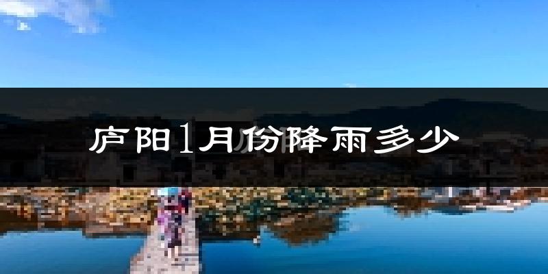 庐阳1月份降雨多少?