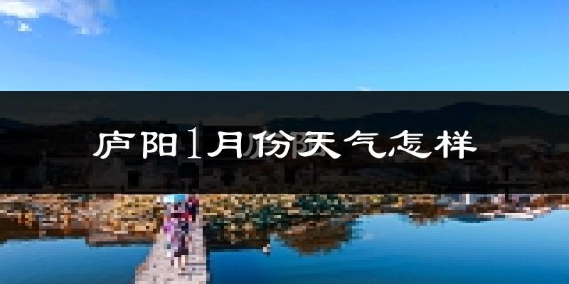 庐阳1月份天气怎样?庐阳一月冷不冷?