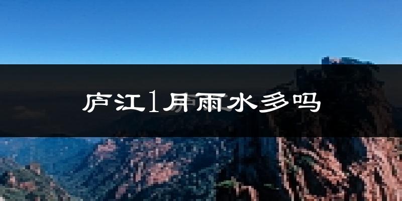 庐江1月雨水多吗?