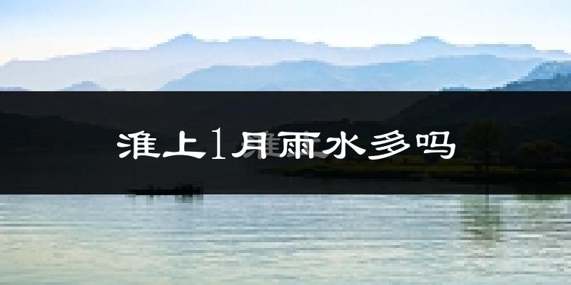 淮上1月雨水多吗?
