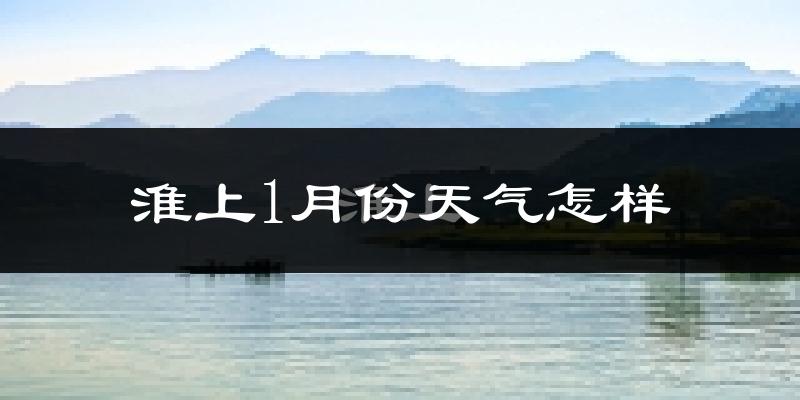 淮上1月份天气怎样?淮上一月冷不冷?