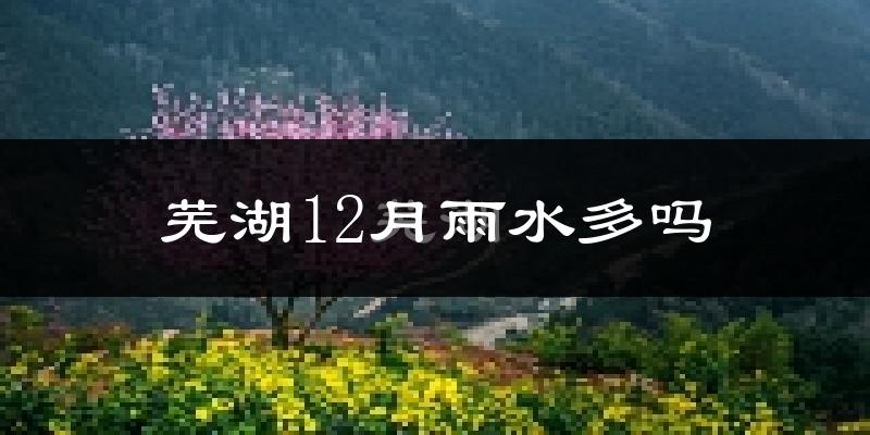 芜湖12月雨水多吗?