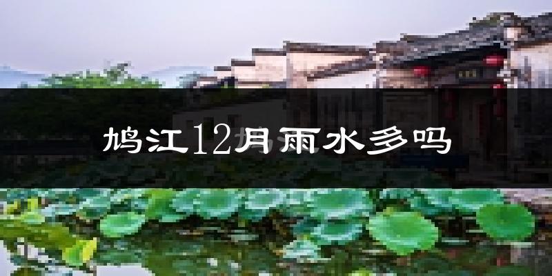 鸠江12月雨水多吗?