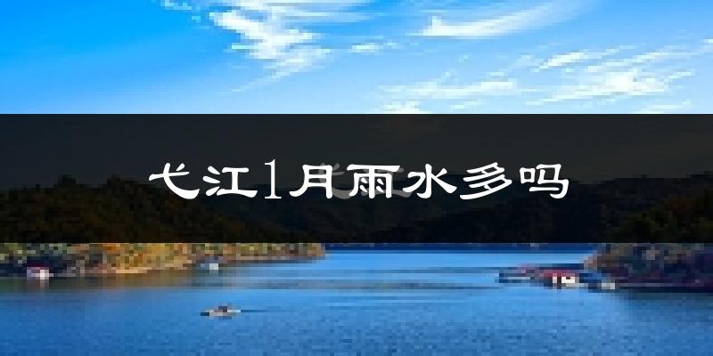 弋江1月雨水多吗?