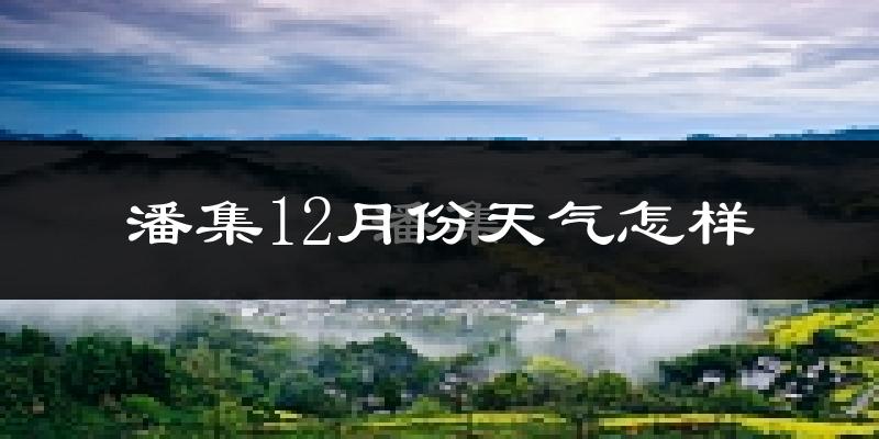 潘集12月份天气怎样?潘集十二月冷吗?