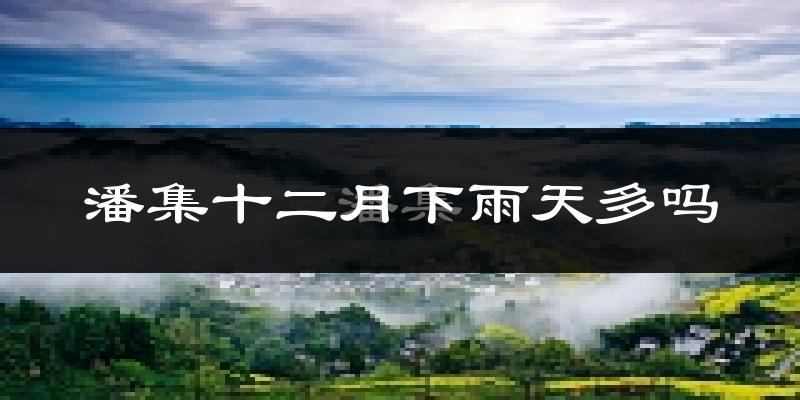 潘集十二月下雨天多吗?潘集12月份降雨量多少?