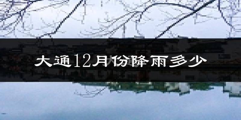大通12月份降雨多少?