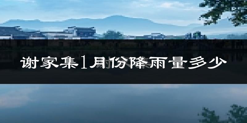谢家集1月份降雨量多少?谢家集一月下雨多吗?