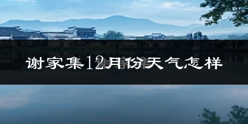 谢家集12月份天气怎样?谢家集十二月冷吗?