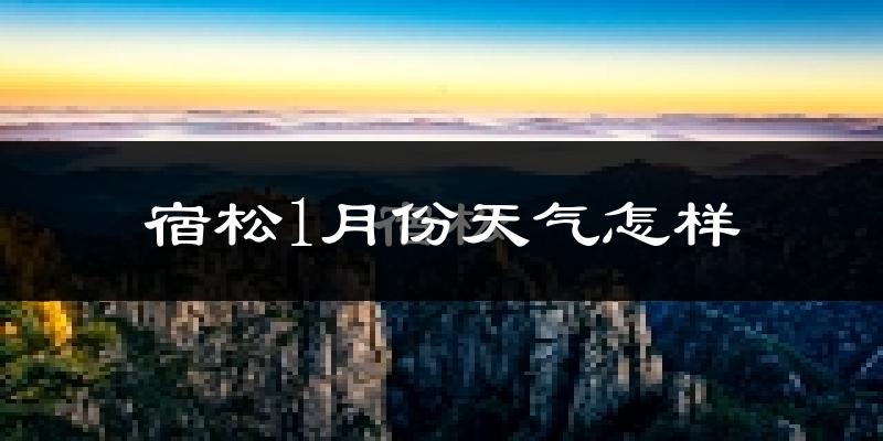 宿松县1月份天气如何?很冷吗?