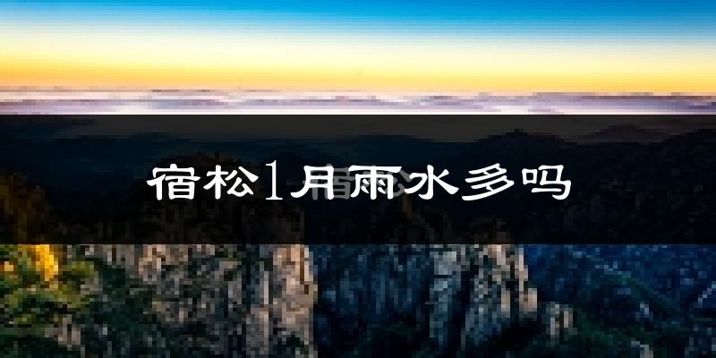 宿松1月雨水多吗?