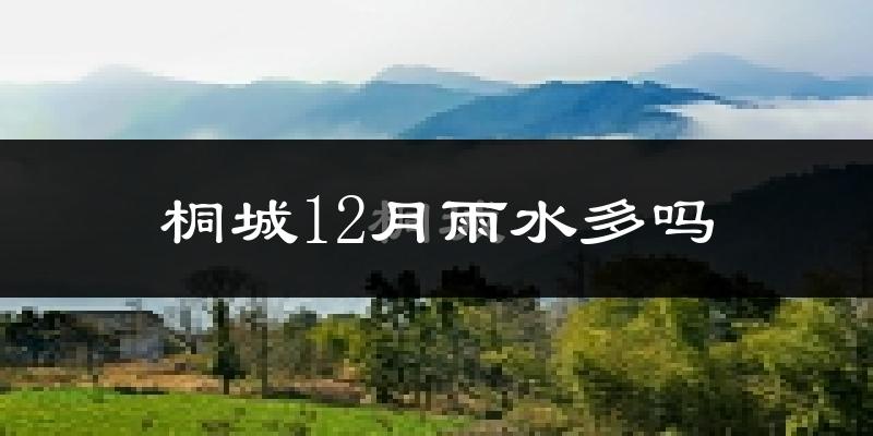 桐城12月雨水多吗?