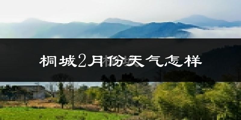 桐城市2月份天气如何?很冷吗?