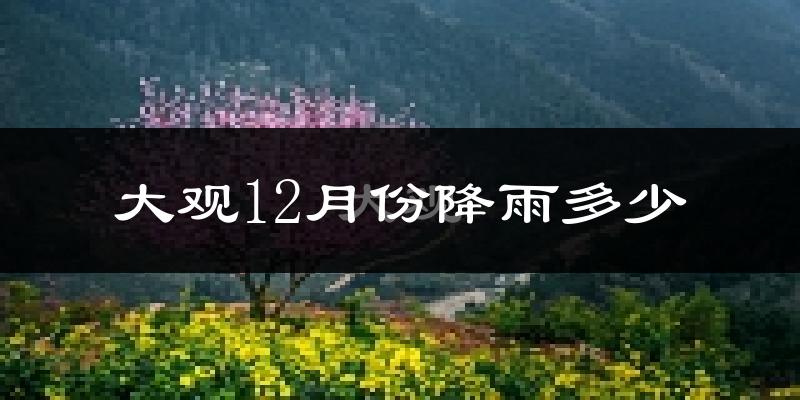 大观12月份降雨多少?