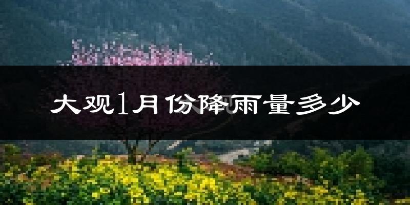 大观1月份降雨量多少?大观一月下雨多吗?