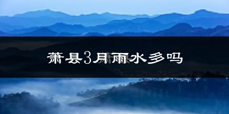 萧县3月雨水多吗?