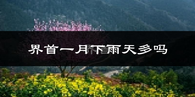 界首一月下雨天多吗?界首1月份降雨量多少?