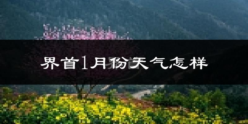 界首市1月份天气如何?很冷吗?