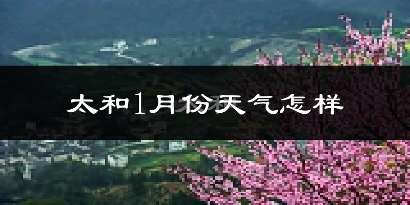 太和县1月份天气如何?很冷吗?