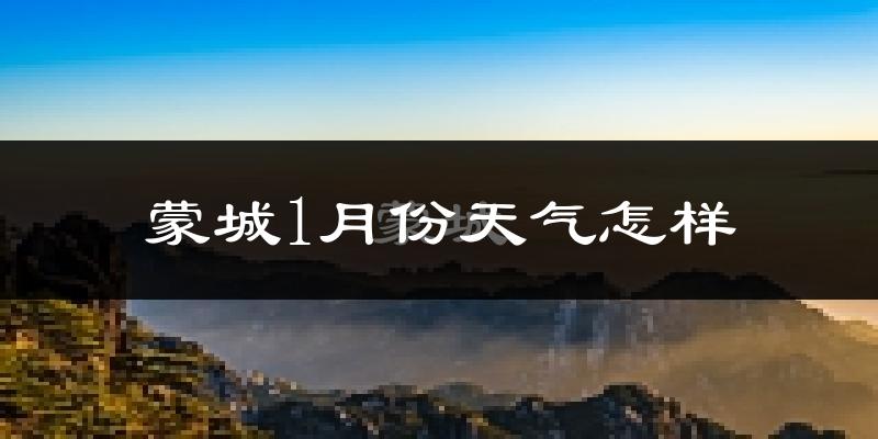 蒙城县1月份天气如何?很冷吗?